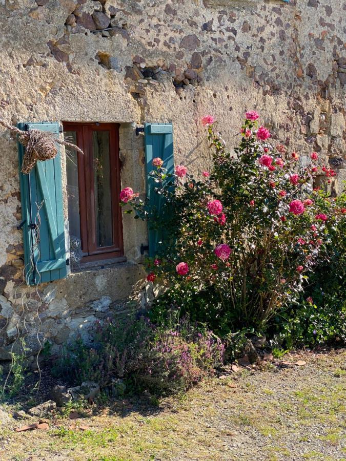 Bachellerie Bed & Breakfast Cheronnac Luaran gambar